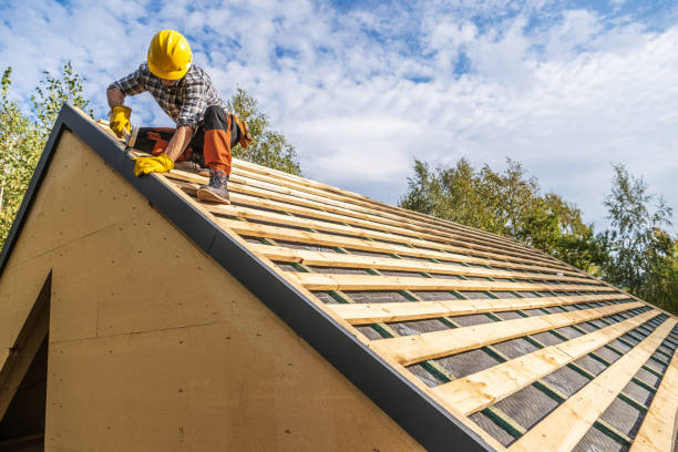 Best Shingle Roofing Installation  in Skidway Lake, MI