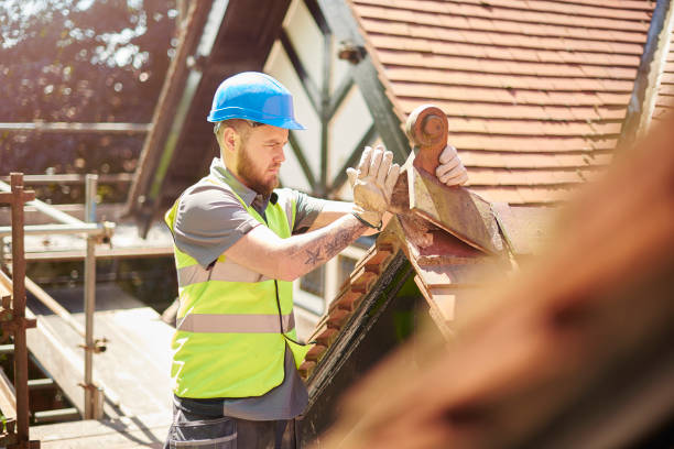 Best Metal Roofing Contractor  in Skidway Lake, MI