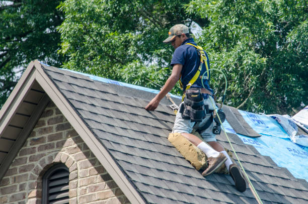 Quick and Trustworthy Emergency Roof Repair Services in Skidway Lake, MI